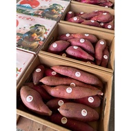 Japanese Sweet Potato Beni Haruka (Imported) 3.2-3.5 kg. Beaver Brand And Fragrant