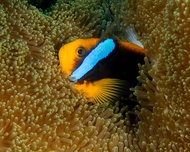 3D/2N Island Hopping Expedition El Nido to Coron or Vice versa