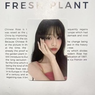 BABYMONSTER Endorsement Card Zheng Yaxian Photocard AHYEON