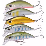 CONTYU Stream Lure Trout Minnow Set Sinking 50mm 4.8g Flat Type Yamame 5 Pieces (50mm/4.8g, Color B'
