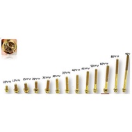 ENGINE SCREW M6 GOLD