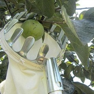 Alat Petik Buah Tongkat Teleskopik Galah Teleskopik Galah Pemetik Buah 4/6 M Alat Pemetik Buah Dan T