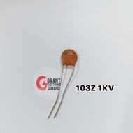 103Z 1KV Ceramic Capacitor