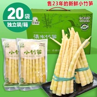 500g Fresh Bamboo Shoots Crispy Raw Bamboo Shoots Wild Tender Bamboo Shoots Fresh bamboo shoots Cris