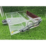 Ant Subang Nest Starter Kit + Ant Colony Type 14 (with water feeder)