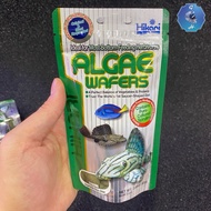 Hikari ALGAE WAFERS - HERBIVORE FISH PELLETS - PLECO FEED ETC
