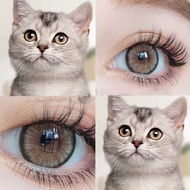 Magister Contact Lens 14.5mm LUNA&Diamond Soft Contacts Lens Big Eyes Color Lens Original Korea