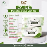 TKT Nature DiabeTea Guava Leaf Tea (2g x 30s) | Manage 3 Highs | 得康堂 DiabeTea 番石榴叶茶 降三高 (1 Box)