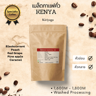 Kenya Karimikui AA Specialty Coffee| เมล็ดกาแฟสดคั่วอ่อน-กลาง อาราบิก้า 100% GODINUS