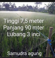 jaring burung jaring padi lubang 3 inci bonus 2 tali bisa jg untuk jaring sawah untuk burung tekuku