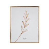 กรอบรูปอะลูมิเนียม 40 x 50 ซม. KASSA HOME สีทอง