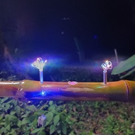 Lampu Pelita Buluh LED  3modes Multicolour LED light decorative Bamboo