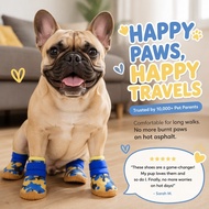 Mesh Dog Shoes Breathable Beef Tendon Anti Slip Sole Cute Shoelace Enhanced Non Slip Footwear Para M