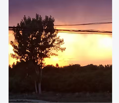 Laptop To Desktop SO-DIMM To PC DIMM Card DDR3 DDR4 DDR5 Memory Adapter Expansion Card PC Laptop RAM