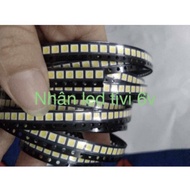 Led core 3030 6v combo 50 bulbs