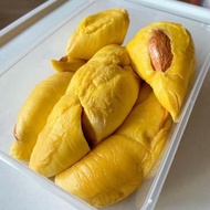 [KL & SELANGOR ONLY] FRESH RAUB MUSANG KING, D101,D24, KAMPUNG 500+- DURIAN PULP ONLY HIGH QUALITY