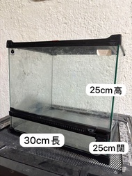 爬蟲玻璃箱