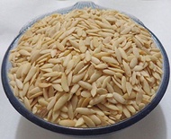 Cucumber Seeds (Kheera Magaj) Without Shell Imported from India
