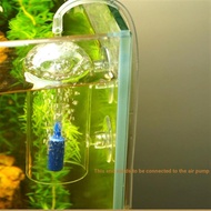 Aquarium Oxygen Container Fish Tank Glass Container Water Grass Tank Container Oxygen Pump Dissolved