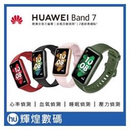 華為 HUAWEI Band7 AMOLED 藍芽智慧手環 (支援心率、血氧偵測)
