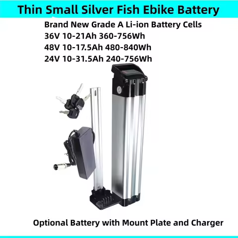 City Bike Folding Bike Ebike Battery 24V 36V 8Ah 8.8Ah 10Ah 10.4Ah 13Ah 15Ah for Lifebike Comfort G1