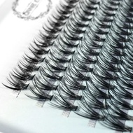 60/100 Bundles Eyelash Extensions  Individual Cluster Lashes Bunches Premade Russian Volume Fans 20/