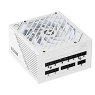 GAMEMAX Rampage Series 850W PCIE 5.0 & ATX 3.0 80 Plus Gold Certified Fully Modular Power Supply, 13