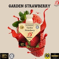 Dwangi Hanging Car Garden Strawberry