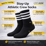 CITRUSOX Striped Crew Sports Socks | Gym Running Training Socks (25-28 cm fits EU41-45) #1312-A
