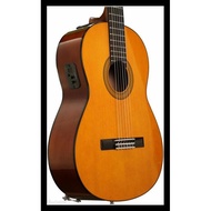 Yamaha Original Acoustic Electric Guitar Yamaha Cgx102 / Cgx 102