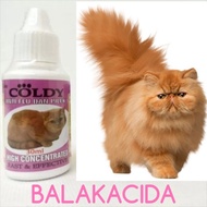 COLDY 30ml flu medicine for cats effective in relieves flu and colds for cats
