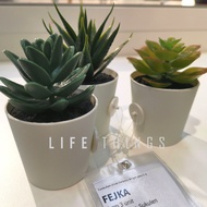 IKEA FEJKA Artificial potted plant with pot, Tumbuhan tiruan berpasu dengan pasu, in/outdoor Succule
