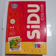 (100 sheets) Gold HVS Paper A4 Size 80 gsm