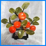 ∏ ✧ ✼ Kiat kiat Money Tree 5 fruits