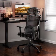 Chair Computer Ergonomic Office Chair Chair Comfortable Sitting Chair E-Sports Chair