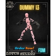 Big Hand Right for Dummy 13