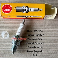 C7HSA C7 Spark Plug