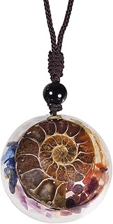 Ammonite Fossil Stone Pendant Necklace for Women Men, Snail Chakra Crystal Jewelry Adjustable Braide