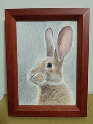 擺設 / 兔子 / 色鉛筆畫 / 原稿 / 含框