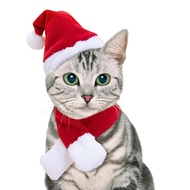 Christmas for cat & Small Dog Santa Hat with Red Scarf - Soft Polyester Pet Costume, Adjustable Hook