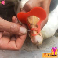 ✨Alley Alley House✨Anti-Pecking Anti-Bite Duck Anti-Pecking Bill Cover for Duck Goose Anti-Pecking A