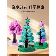 Pokok kertas berbunga, pokok Krismas, bunga sakura ajaib, pokok ajaib kristal yang boleh disiram, ma