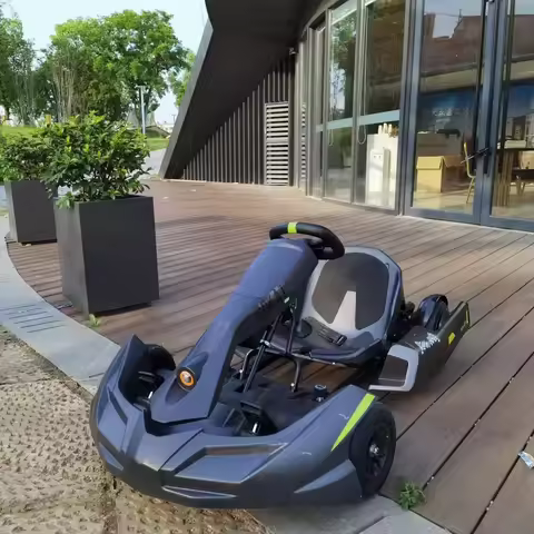 Karting Electric Go Kart Car Racing Go Karts for Adults