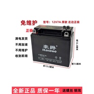 12V Motorcycle 5A7A9A Crossover 150 Maintenance-Free 110 Curved Beam 125 Scooter Motorcycle Battery 
