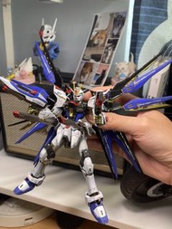 RG gundam seed destiny strike freedom gundam 突擊自由高達全噴槍上色陰影