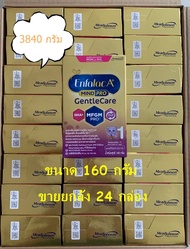 สุดคุ้ม ยกลัง 24 กล่อง (3840 กรัม) นมEnfalac Gentle Care เอนฟาแล็ค เจนเทิลแคร์ สูตร1 ขนาด 160 กรัม - Enfa GentleCare เอนฟา เอพลัส แรกเกิด-1ปี