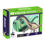 4D Perspective Dinosaur Brachiosaurus Model~