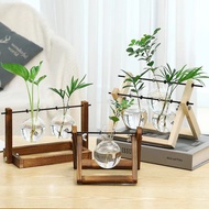 Home garden Vase Crystal Glass Test Tube Vase In Wooden Stand Flower Pots for Hydroponic Plants Home Living Room Terraium Decoration