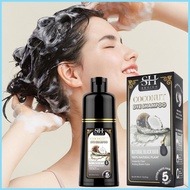 500ml Hair Color Shampoo Black Covering White Hair Shampoo Coconut Ginger Black Fast Cream Styling notasg notasg