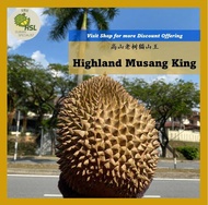 FRESH DURIAN KL & SELANGOR Non-Frozen Raub Musang King